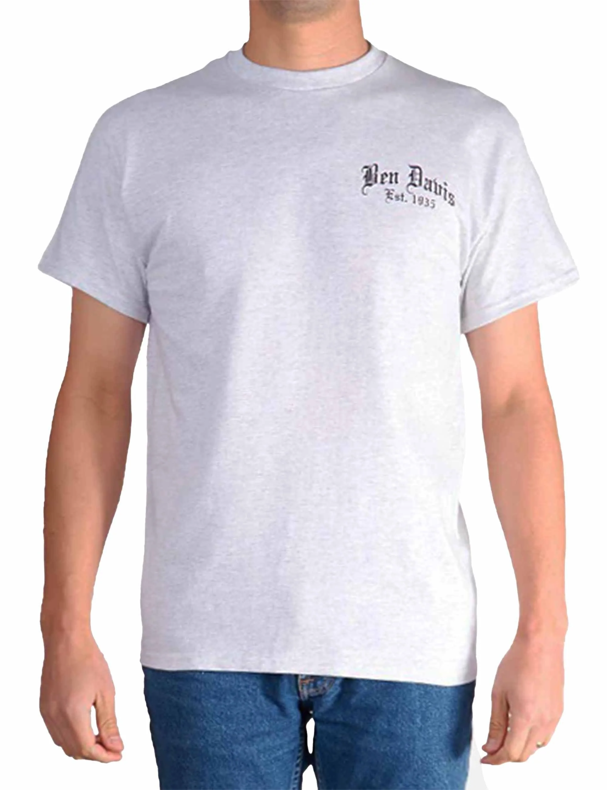 Paisley Logo T-Shirt - Ash Grey - Image 2