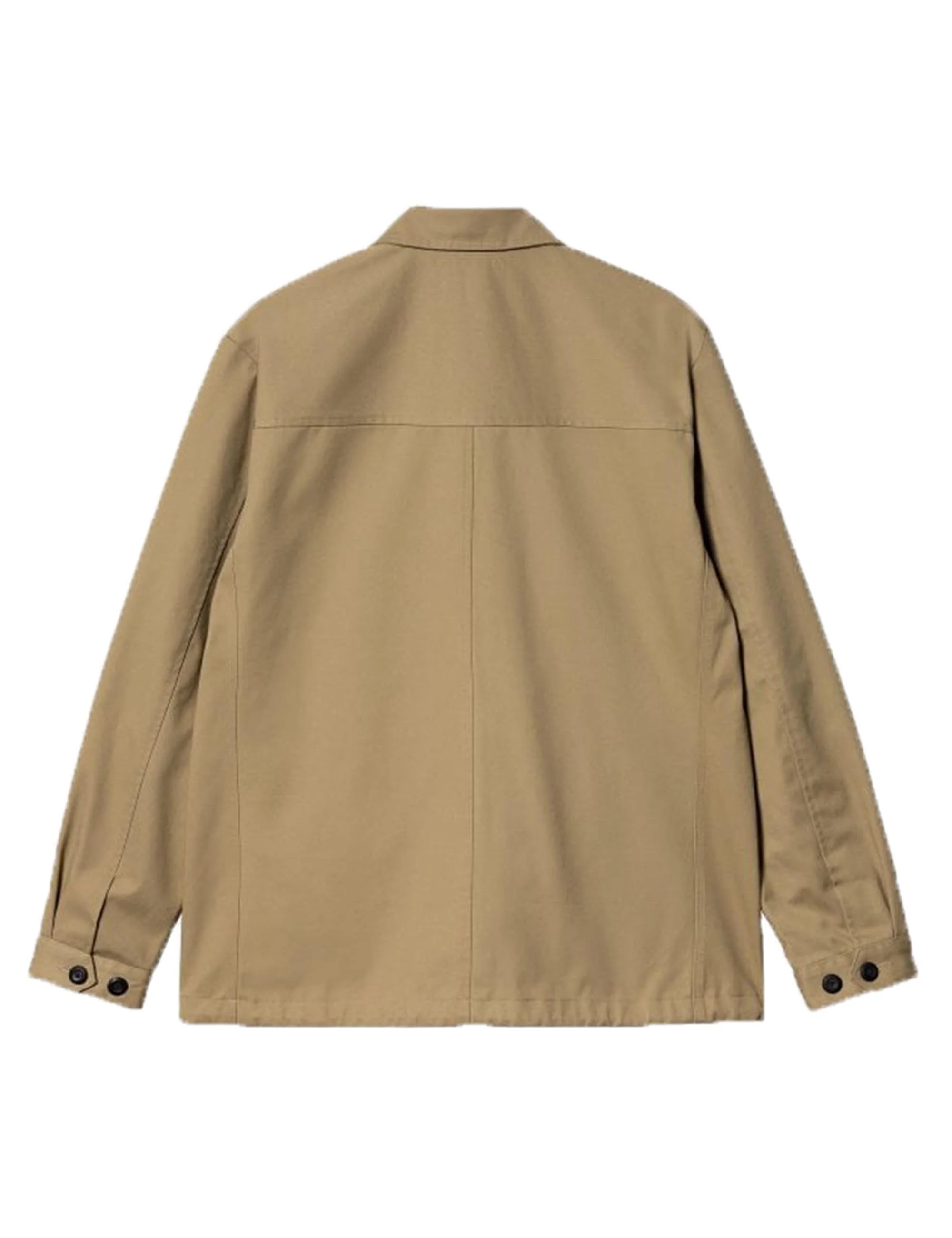 Myles Blazer - Ammonite - Image 2