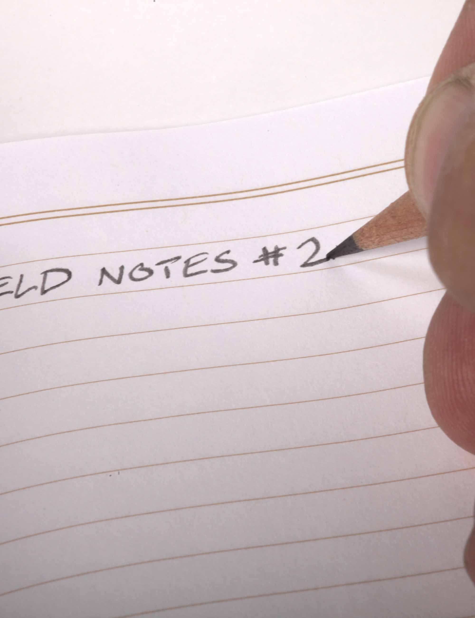 Woodgrain Pencil (6 Pack) - Image 6