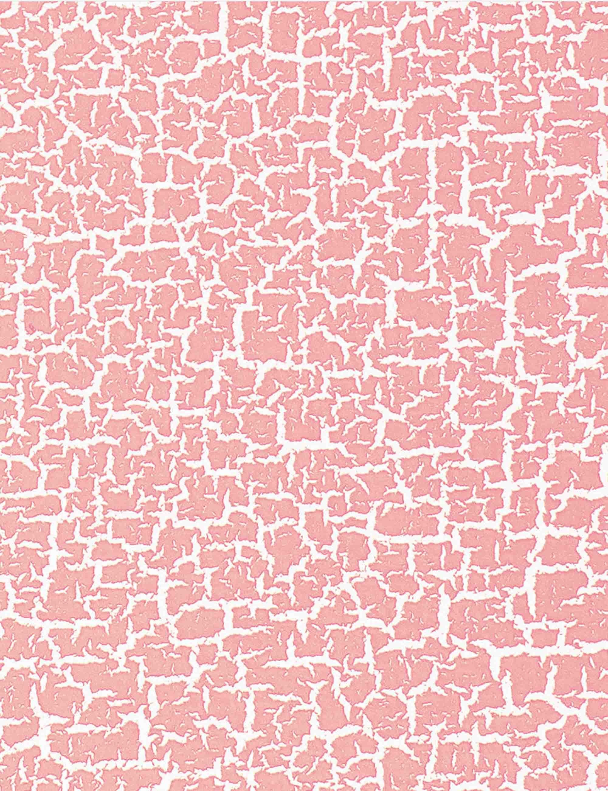Crackle Effect Spray Paint 400ml - Begonia Pink EC3010 - Image 2