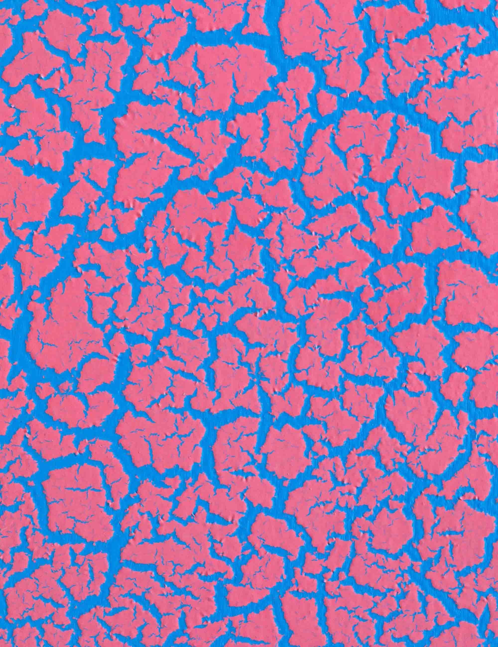 Crackle Effect Spray Paint 400ml - Begonia Pink EC3010 - Image 3