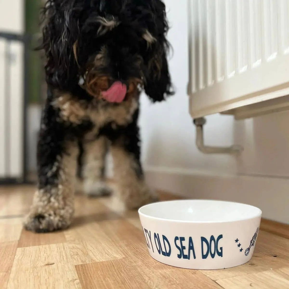 Salty Sea Dog Hand Decorated Dog Bowl - Small - Image 3