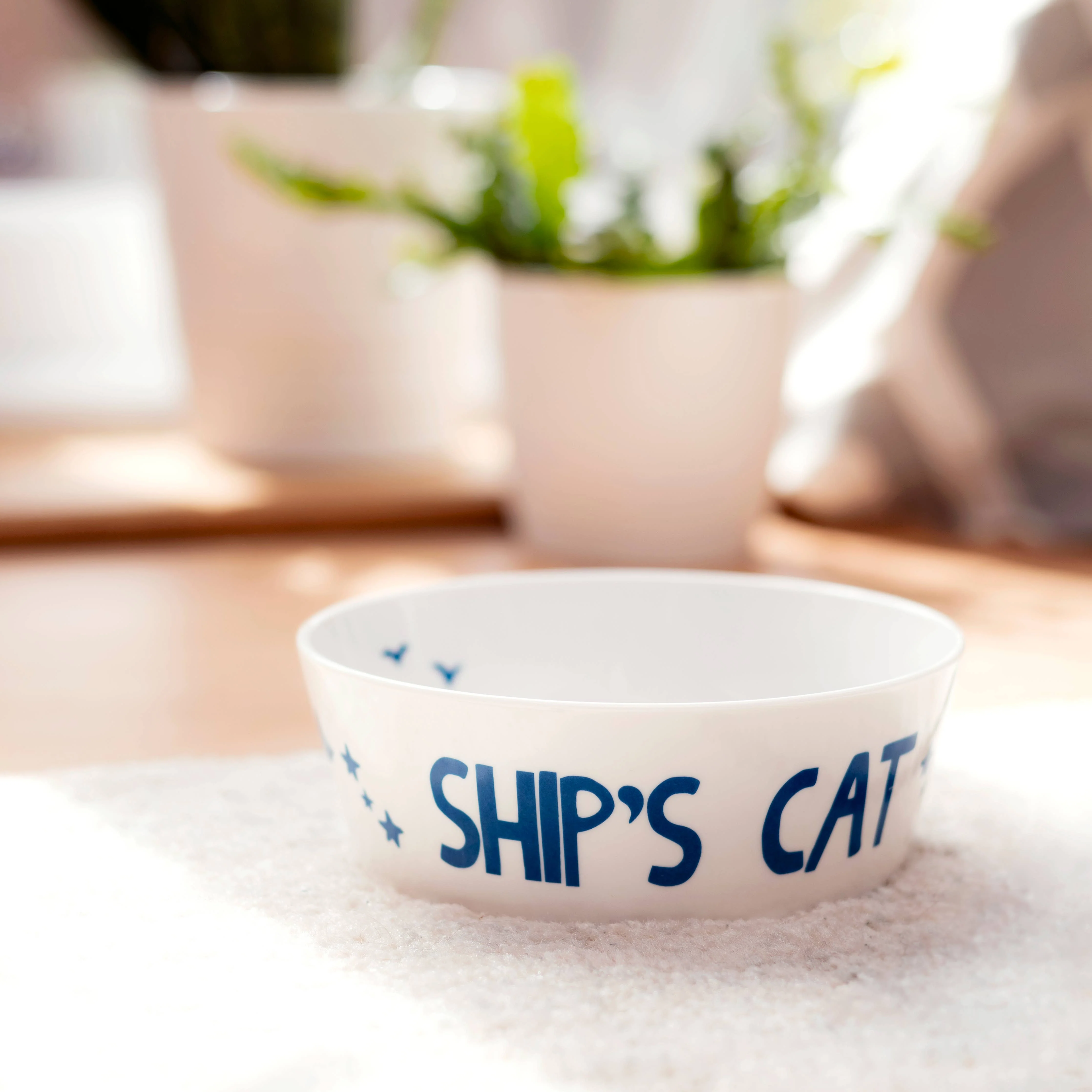 Ship’s Cat Hand Decorated Cat Bowl - Image 3