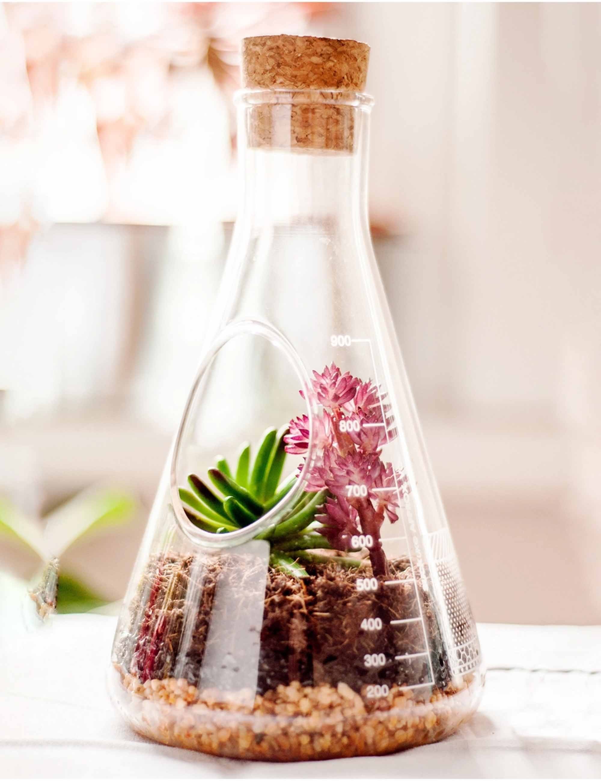 Chemistry Terrarium Kit - Image 5
