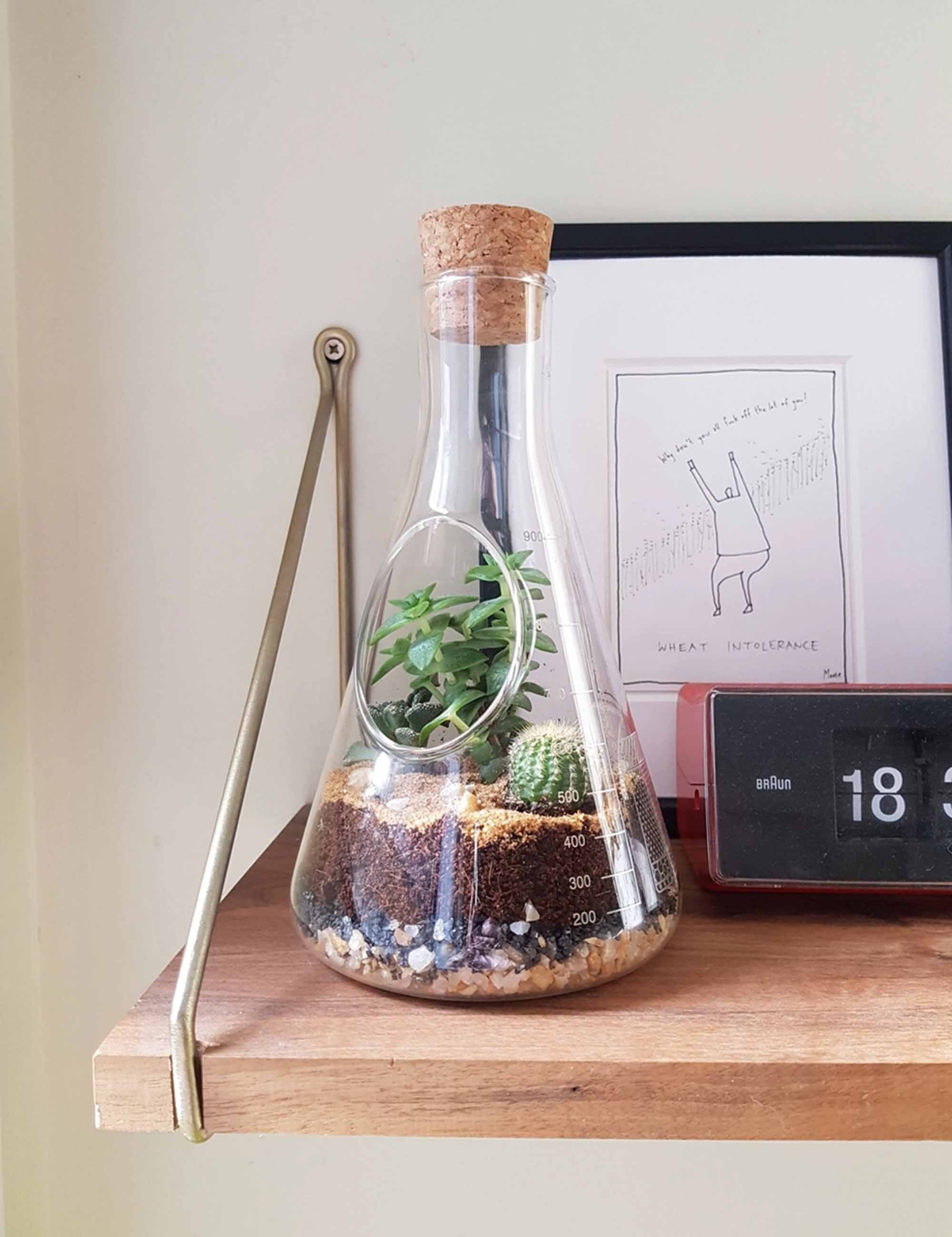 Chemistry Terrarium Kit - Image 7