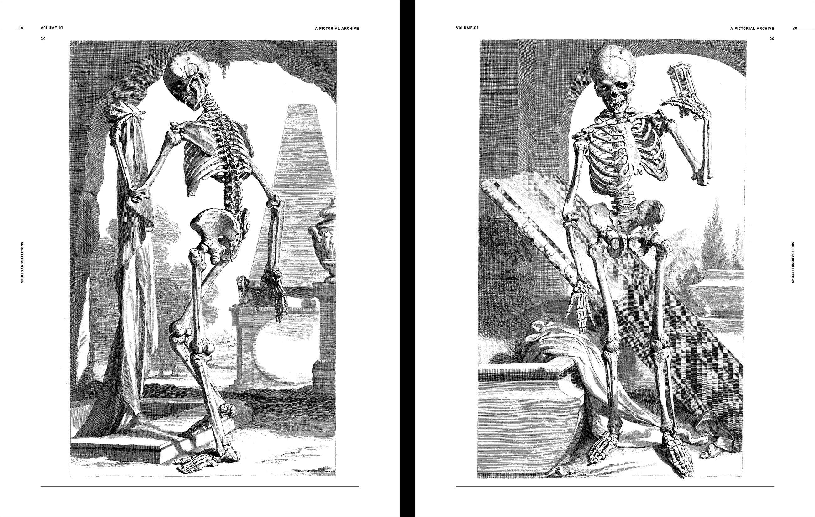 Skulls & Skeletons Book by Kale James - Image 3
