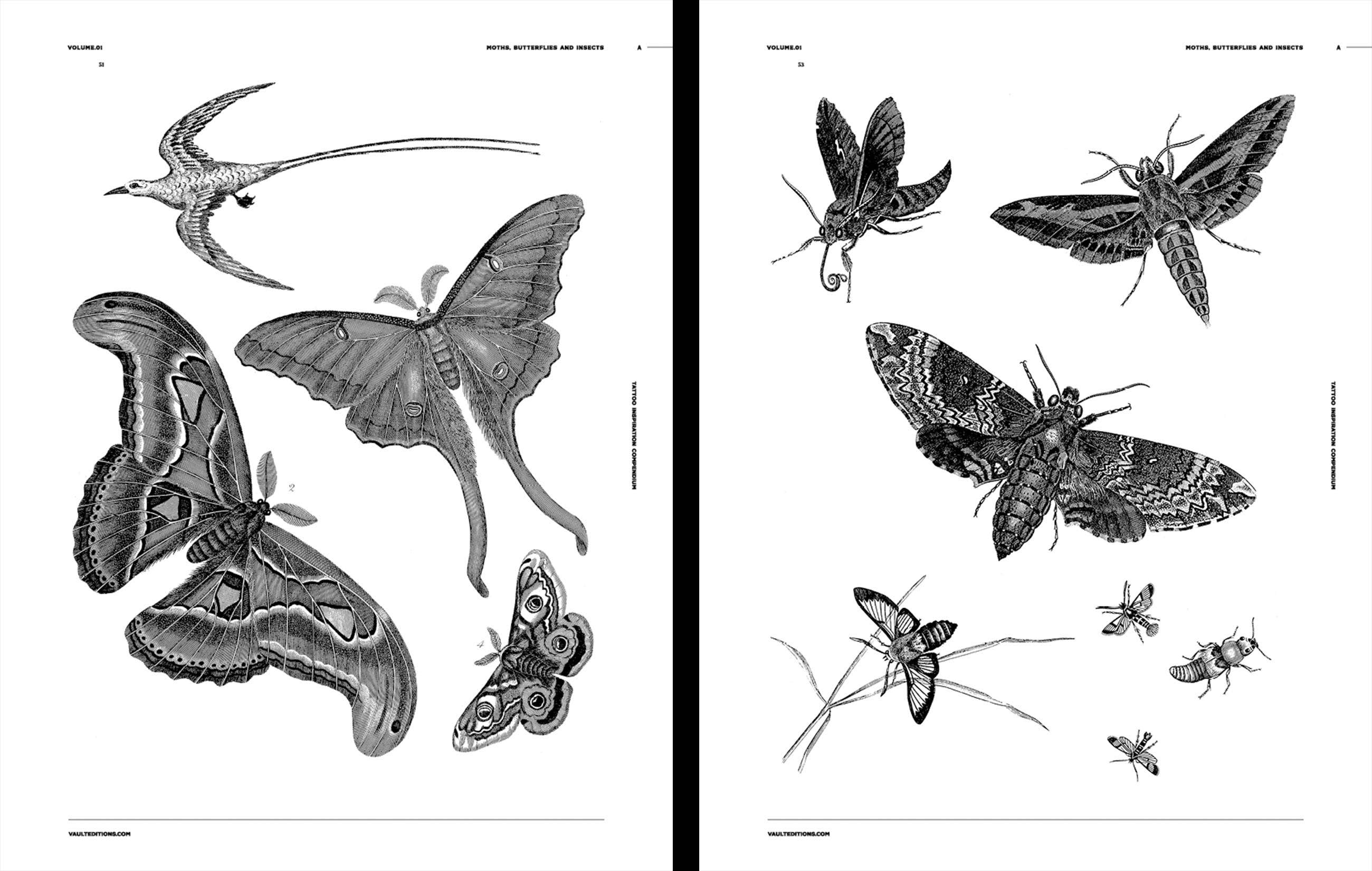 Tattoo Inspiration Compendium Book by Kale James - Volume 1 - Image 3